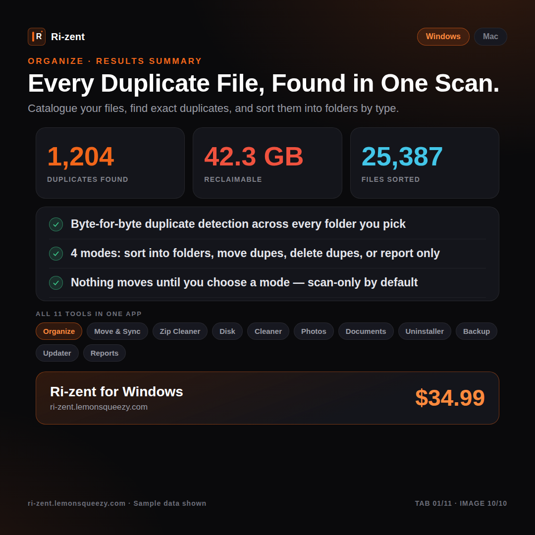 Ri-zent -  Intelligent File Management (WINDOWS 10/11)